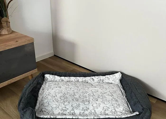 Kuestenbrise كاروليننسيل